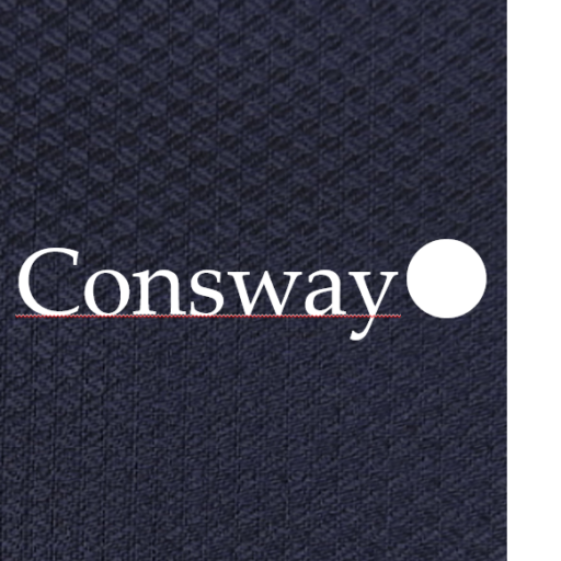 Consway Web Site
